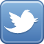 twitter_url